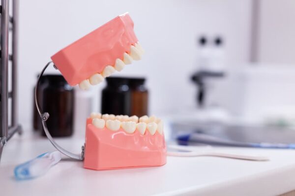 teeth-jaw-standing-on-table-in-orthodontic-dentist-84DST69 (1)